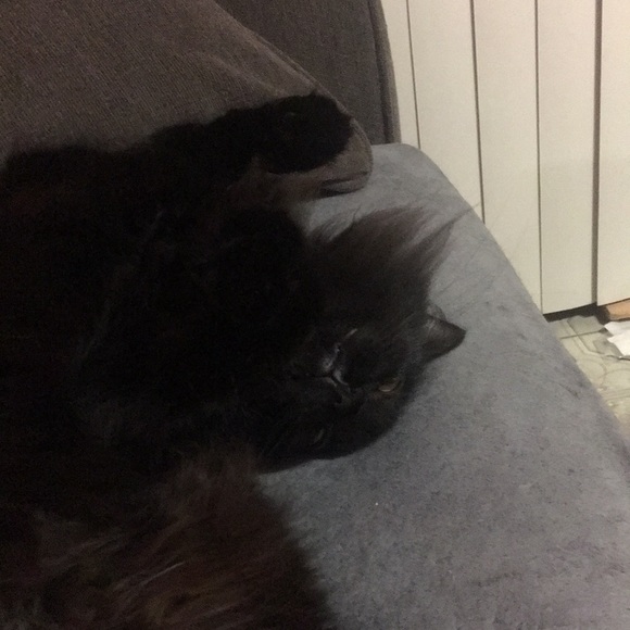 Meet your Posher, Lindsay - Picture 1 of 1